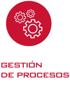 Servicios Kit Digital Gestion Procesos - Inicio